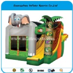 Inflatable Bouncer IS-BC-b9