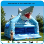 Inflatable Bouncer IS-BC-b11