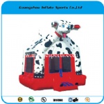 Inflatable Bouncer IS-BC-b23