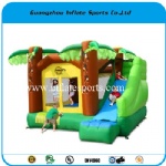 Inflatable Bouncer IS-BC-b24