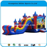 Inflatable Bouncer IS-BC-b27